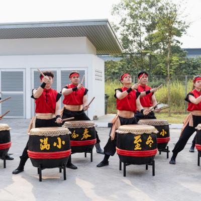 14 24 Festive Drum 1